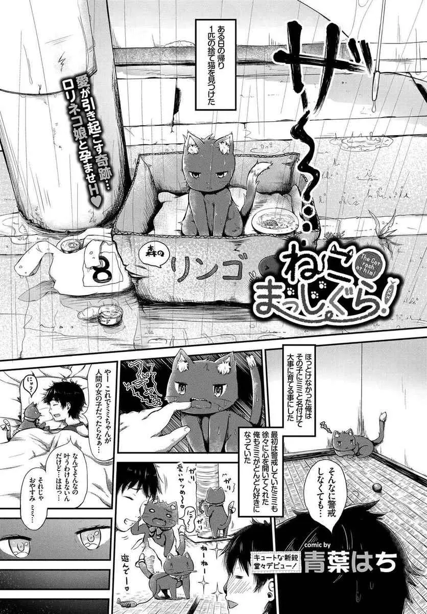 【エロ漫画】土砂降りの雨の中、捨て猫を拾って帰ったら翌朝美少女に擬人化してフェラをされ起こされ中出しセックスしたった！