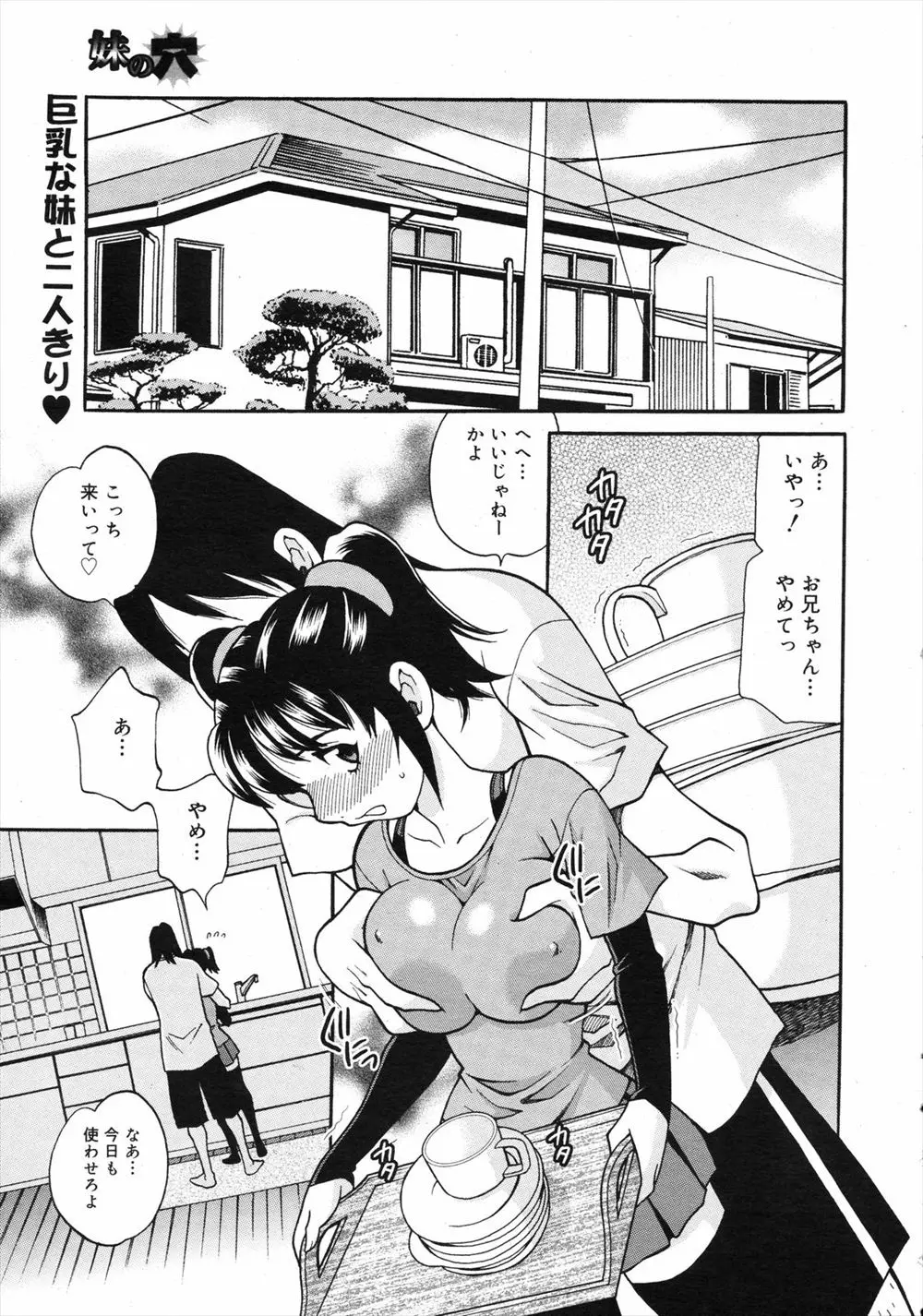 【エロ漫画】バカでニートで変態な兄が両親が働きに出ていてやりたい放題の昼間に、かわいい妹に襲いかかっては近親相姦を繰り返している件！