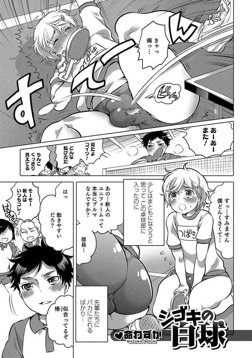 【エロ漫画】先輩たちからだまされてブルマを履かされた女顔の卓球部のドジっ子新入部員が、部長に特訓してやると言われアナル処女を奪われた件ｗ