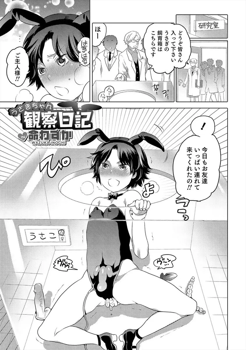 【エロ漫画】オスでも妊娠できるのではと、バニーガール姿のショタが研究室で毎日いろんな男達に種付けセックスされている件ｗ